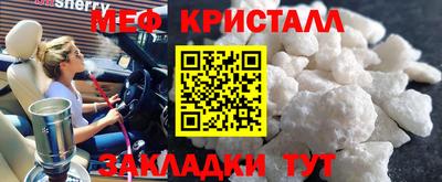 прущие грибы Гатчина