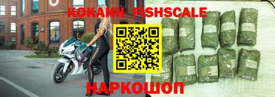 прущие грибы Гатчина