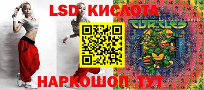 прущие грибы Гатчина