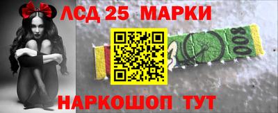 прущие грибы Гатчина
