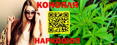 прущие грибы Гатчина