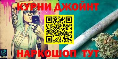 прущие грибы Гатчина