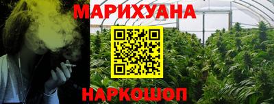 прущие грибы Гатчина