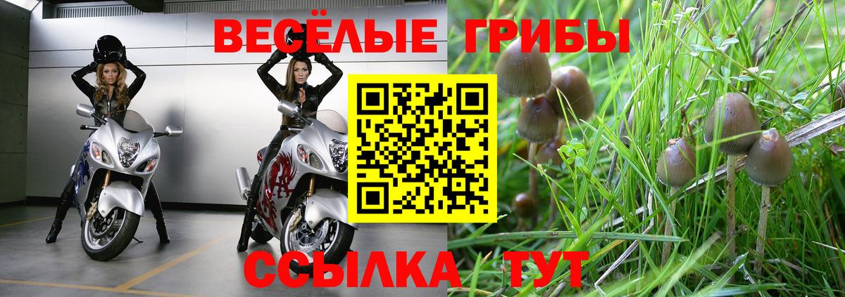Галлюциногенные грибы Magic Shrooms Красноярск