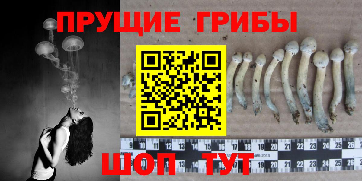 Галлюциногенные грибы мухоморы  Вход с VPN  Красноярск 